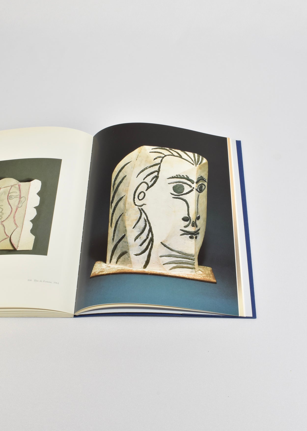 Pablo Picasso: Metamorphoses