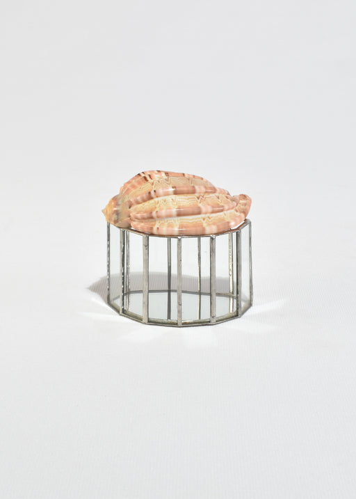 Shell Glass Box