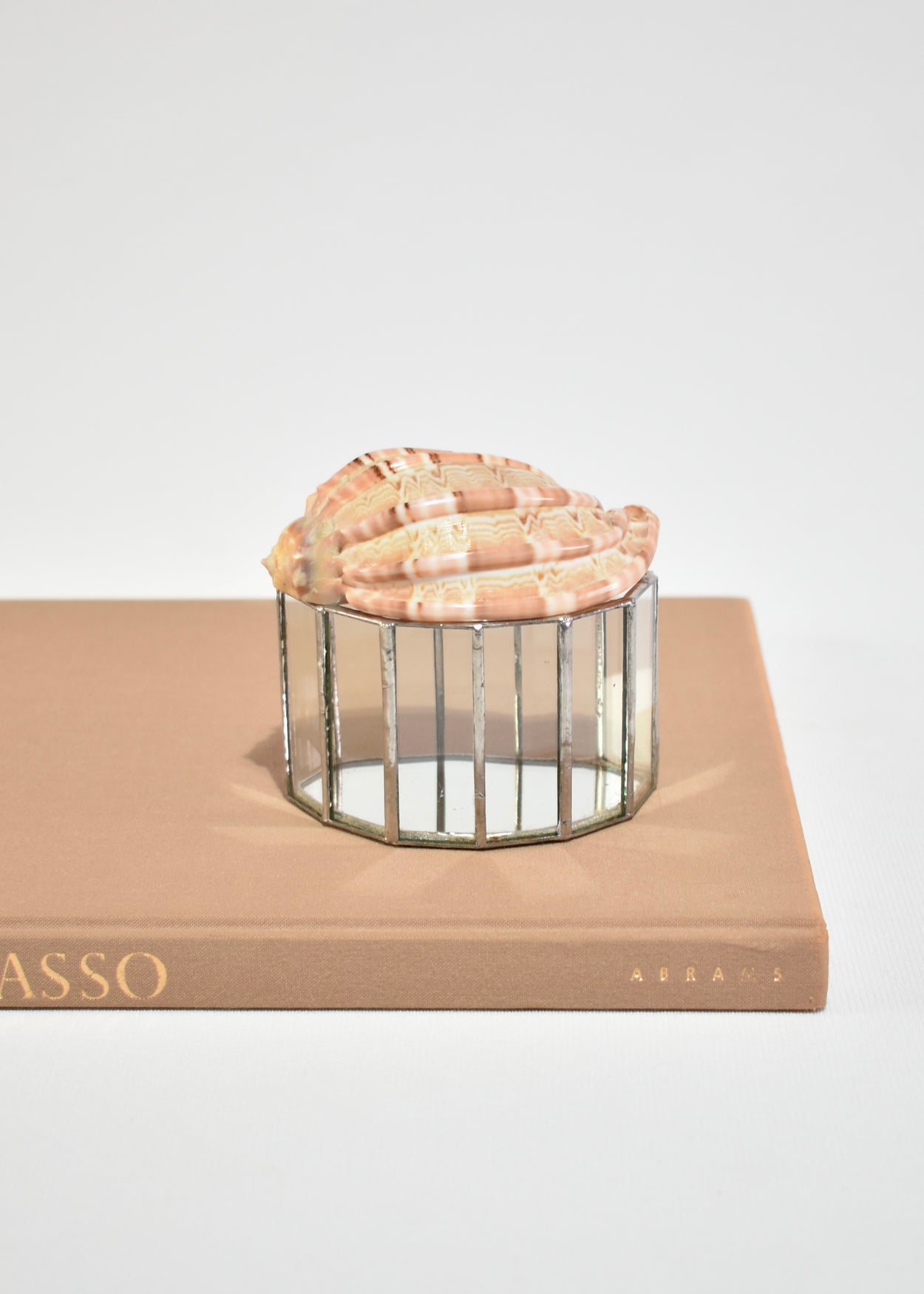 Shell Glass Box