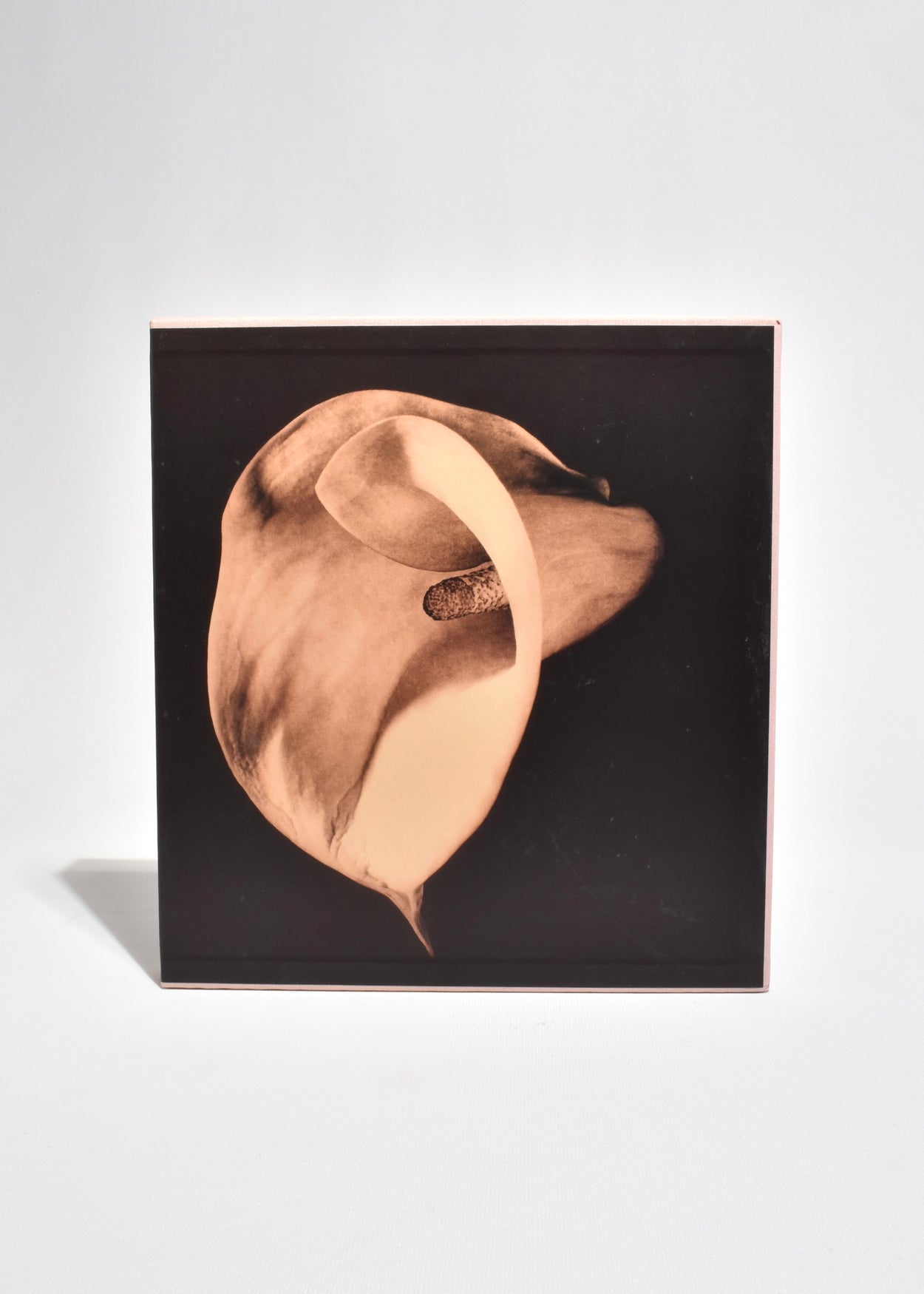 Mapplethorpe: Pistils