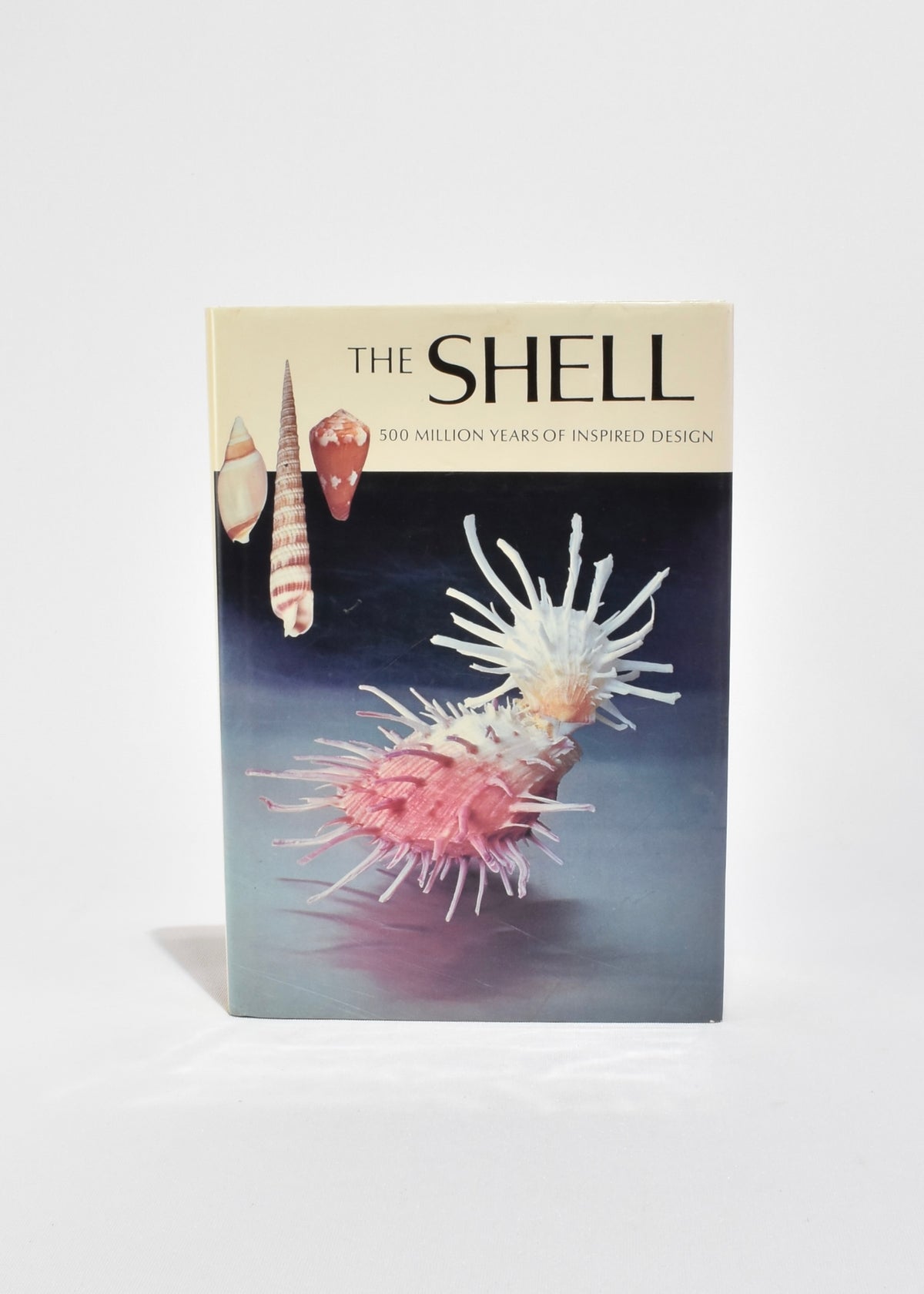The Shell — Casa Shop