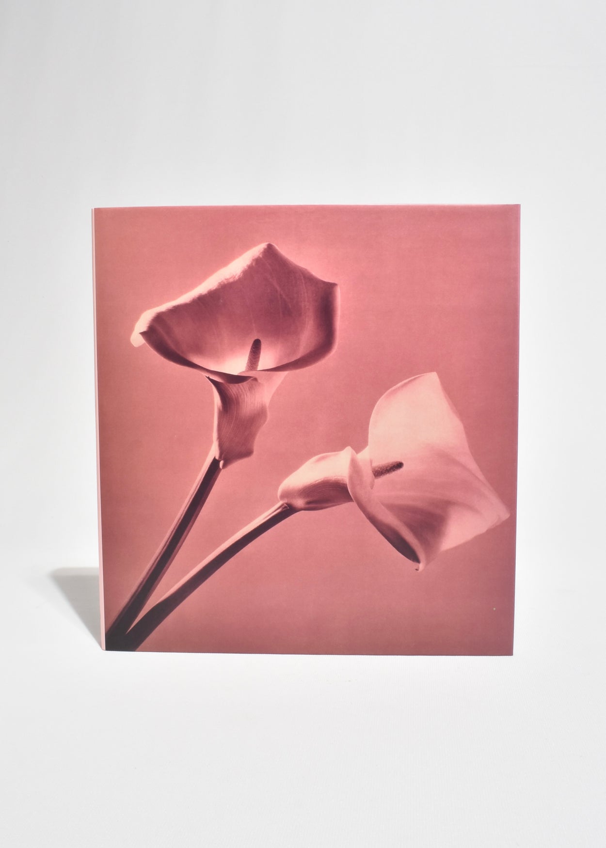 Mapplethorpe: Pistils