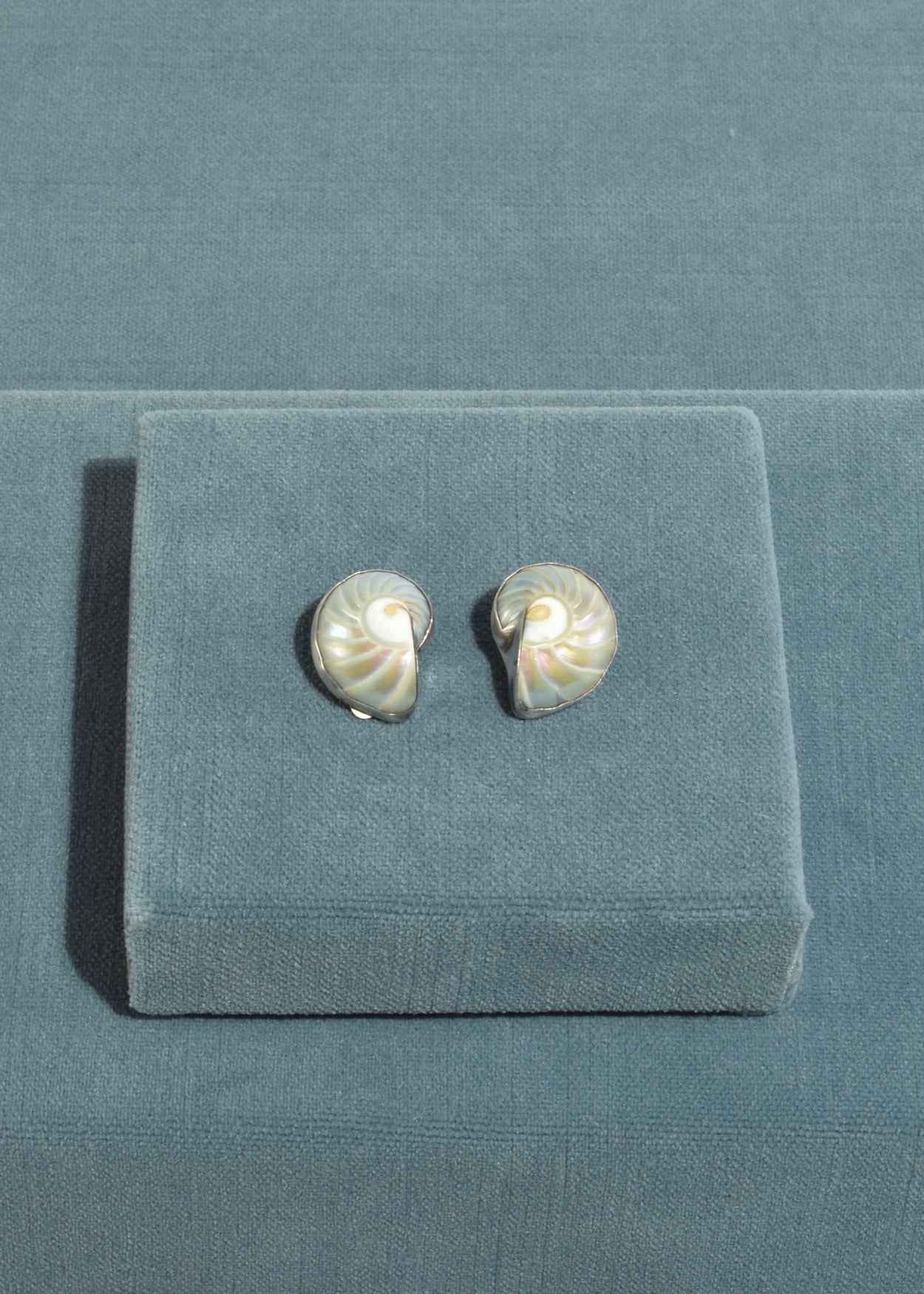 Sterling Shell Earrings