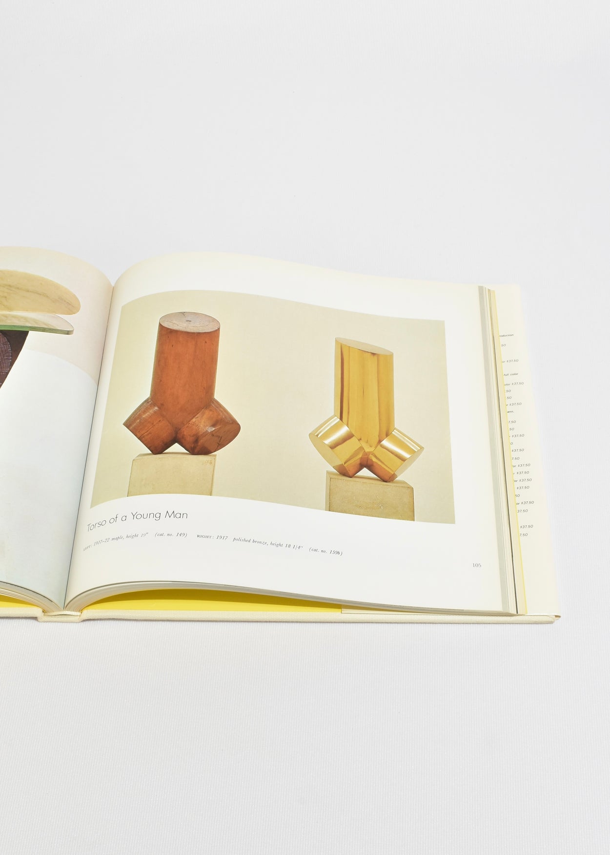 Brancusi: The Sculpture and Drawings