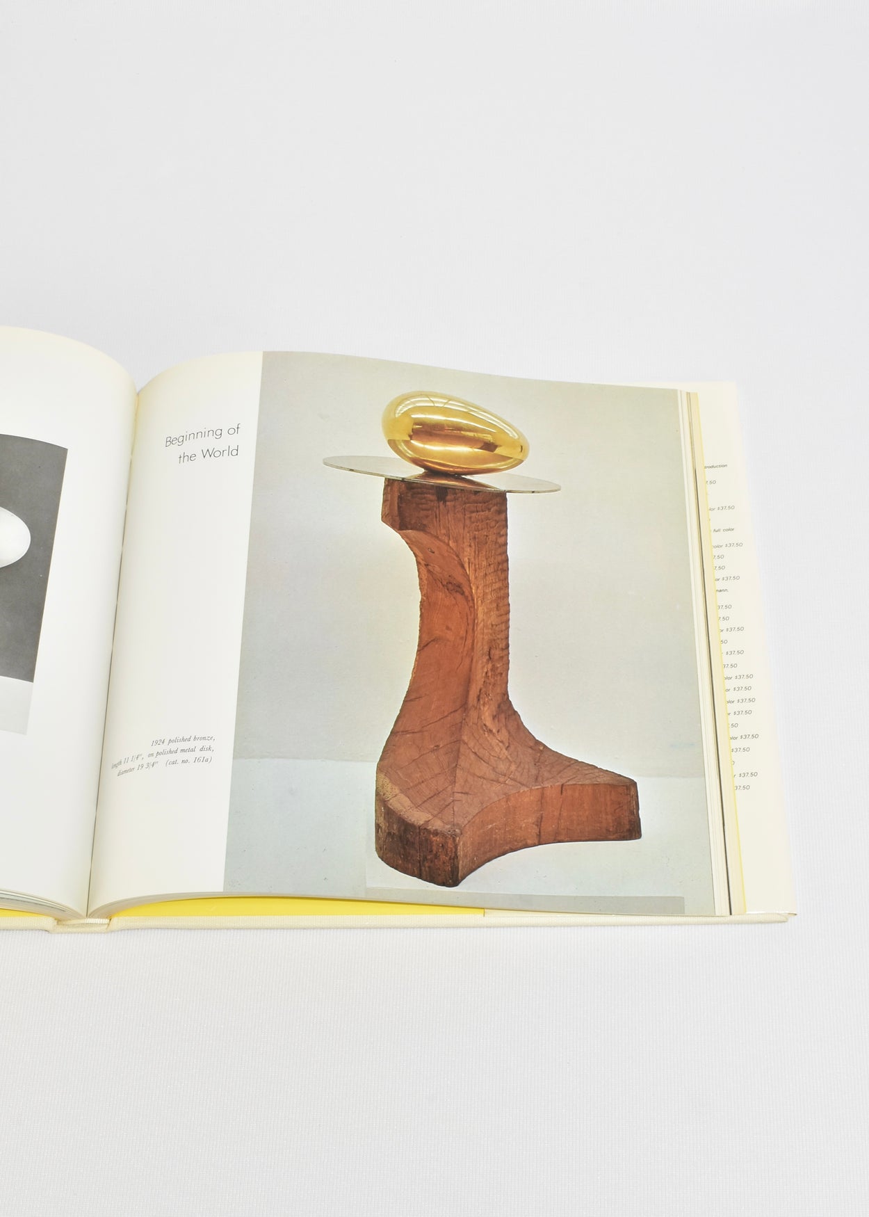 Brancusi: The Sculpture and Drawings