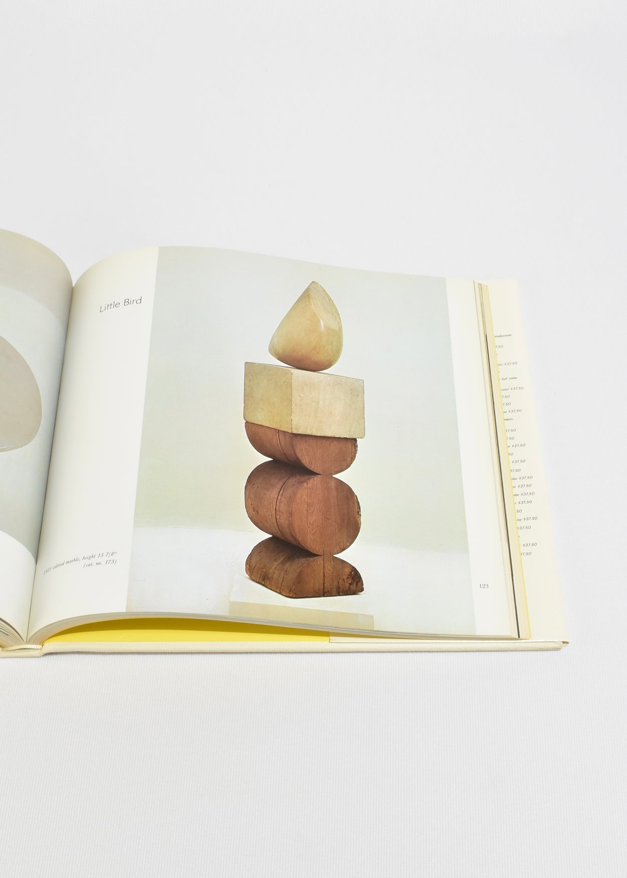 Brancusi: The Sculpture and Drawings