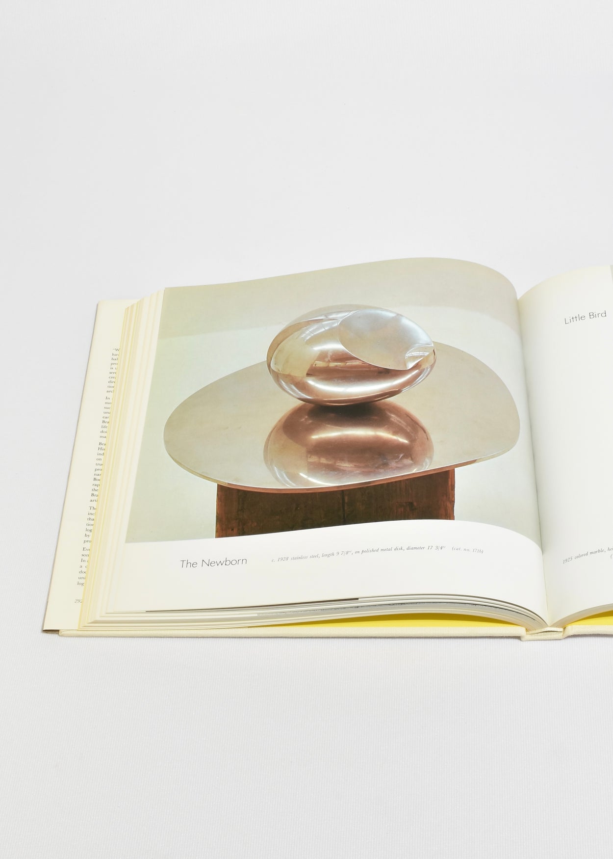 Brancusi: The Sculpture and Drawings