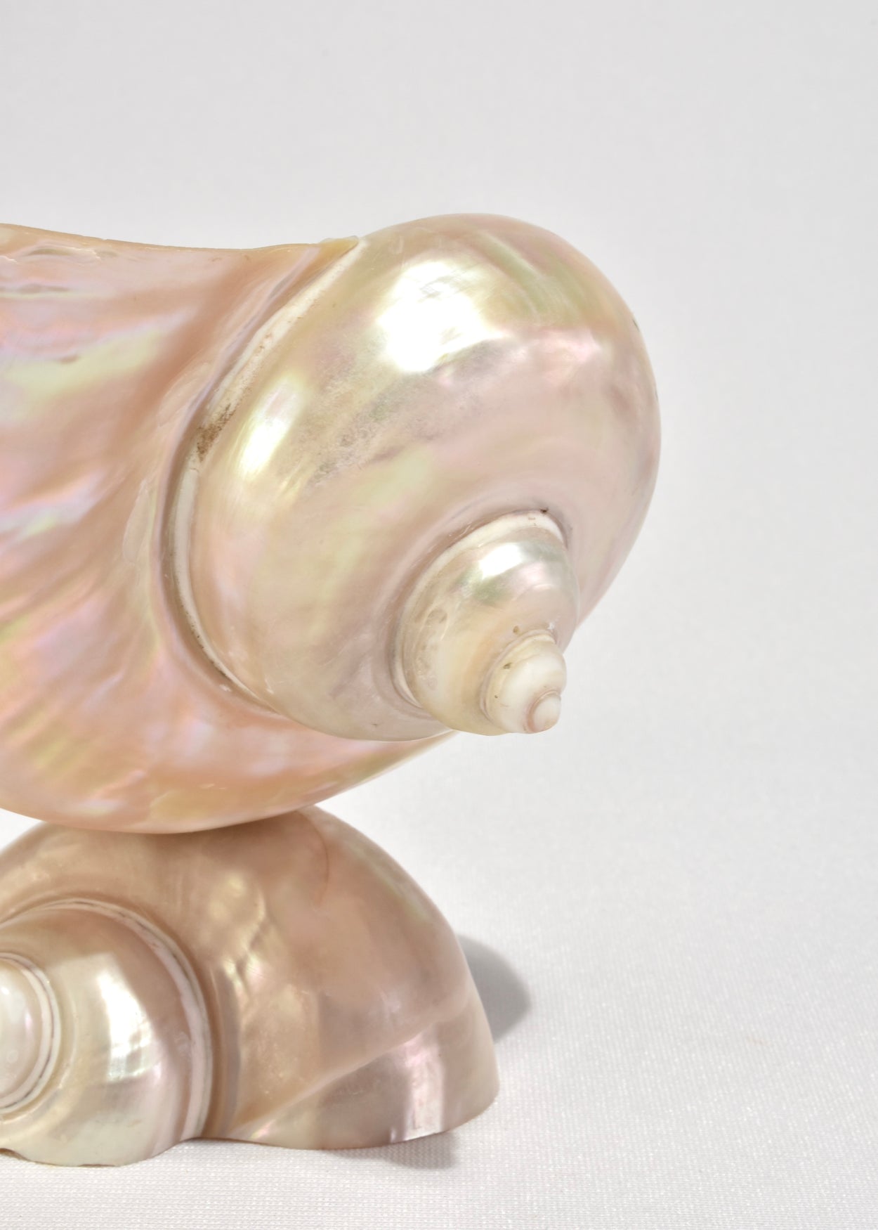 Turbo Shell Vessel
