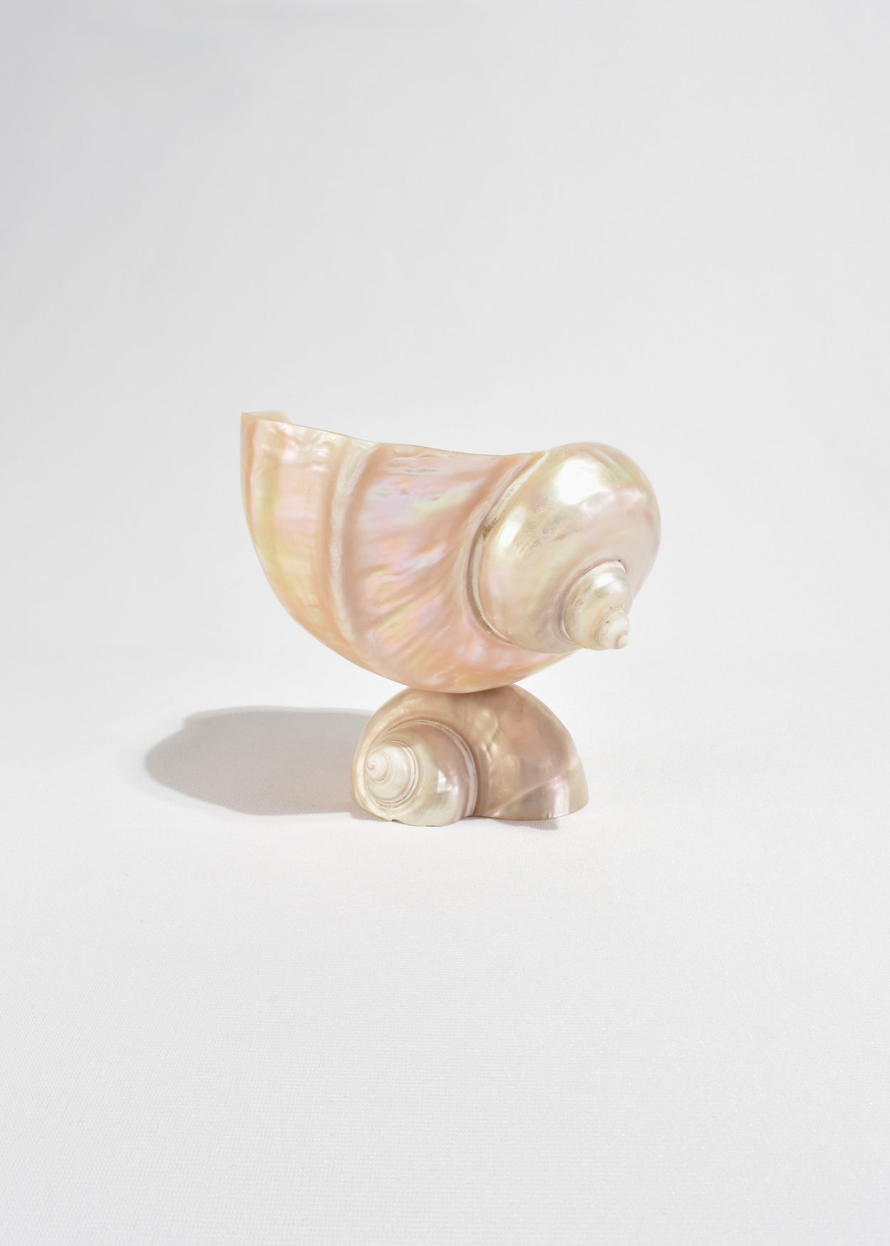 Turbo Shell Vessel