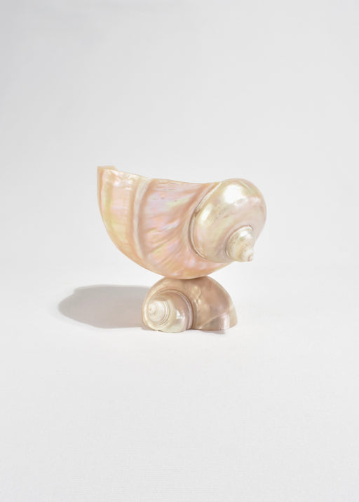 Turbo Shell Vessel