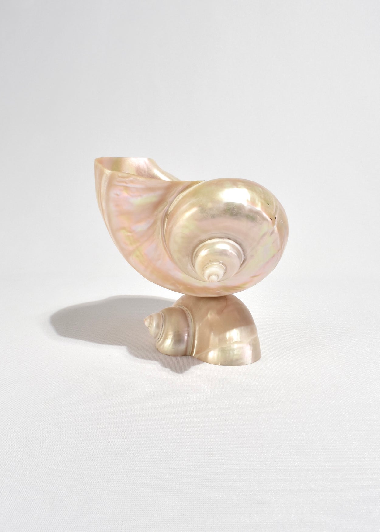 Turbo Shell Vessel