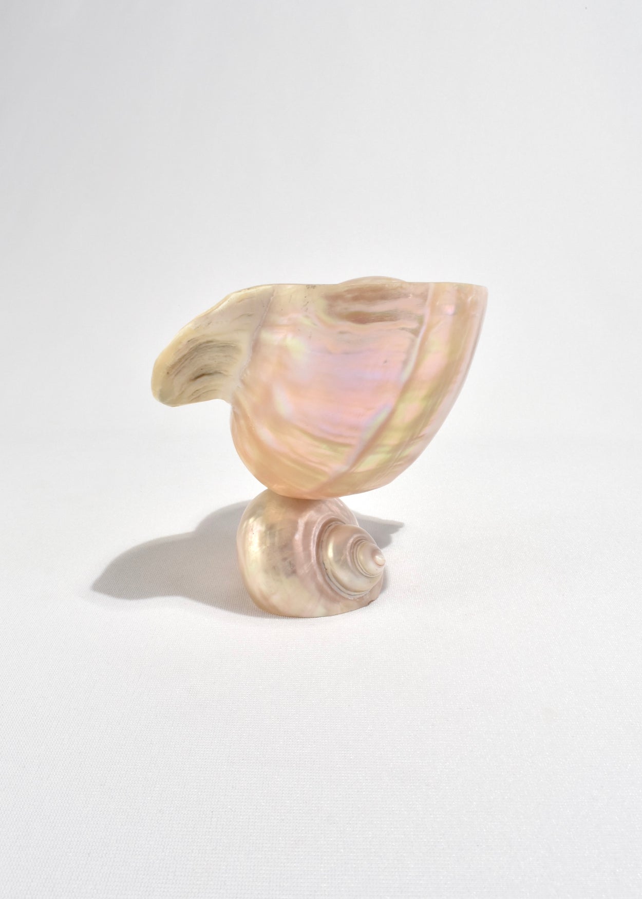 Turbo Shell Vessel