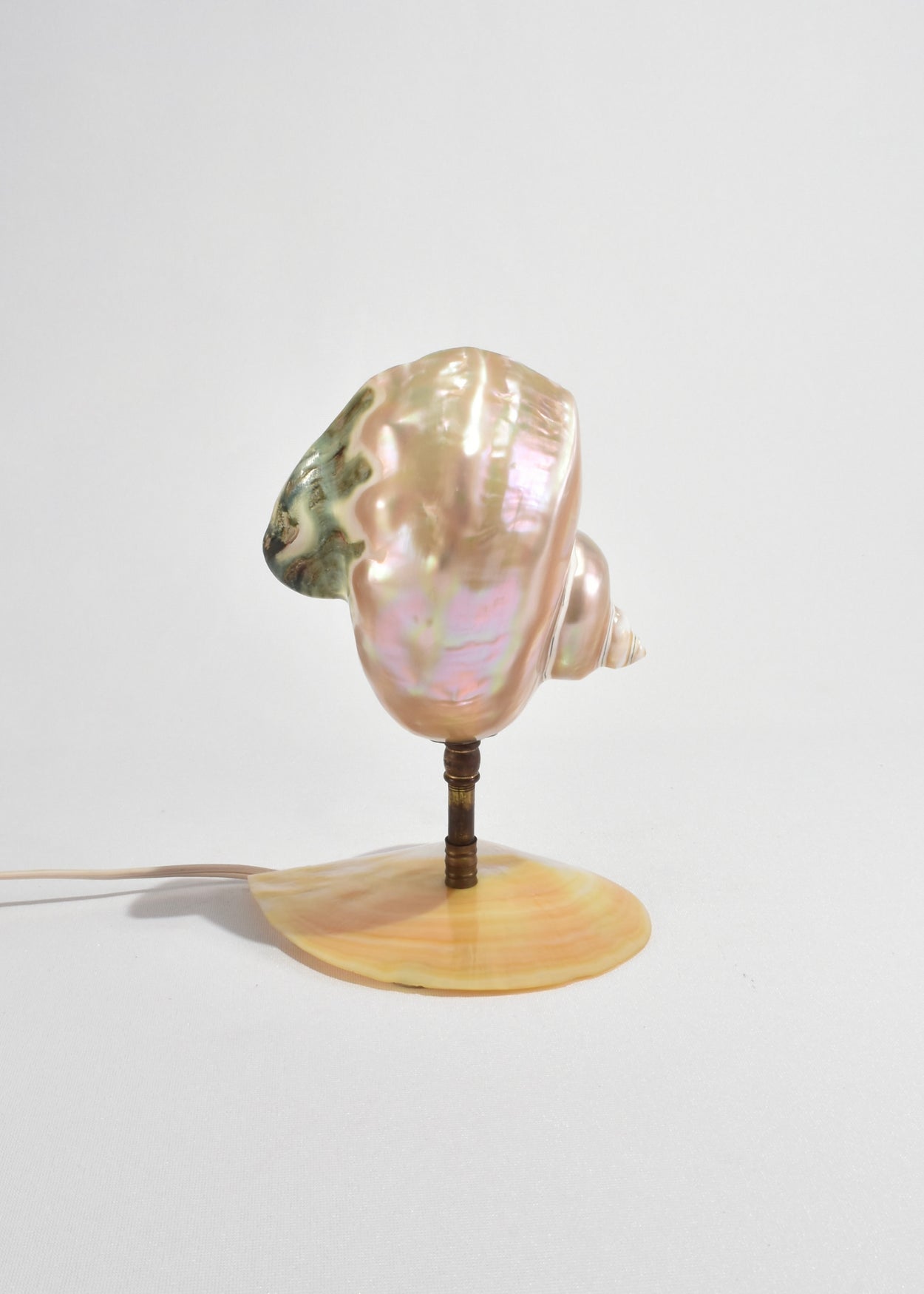 Mother of Pearl Nautilus Shell Lamp