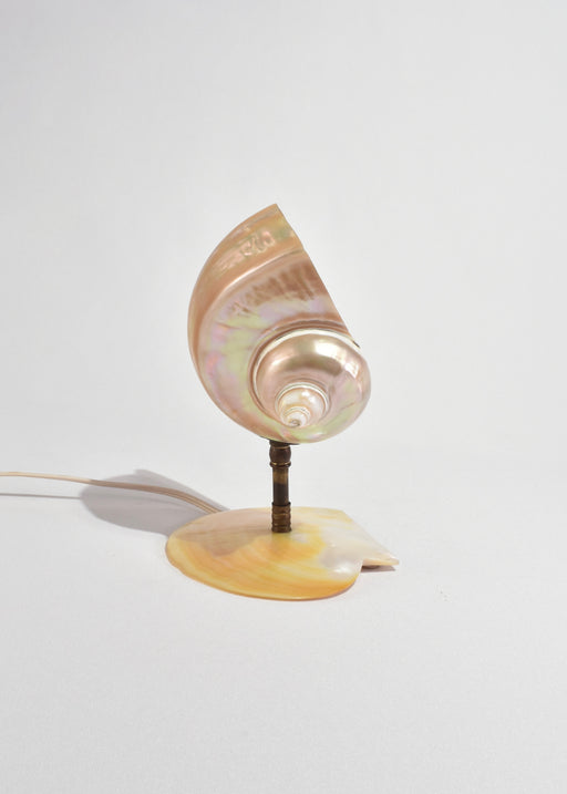 Mother of Pearl Nautilus Shell Lamp