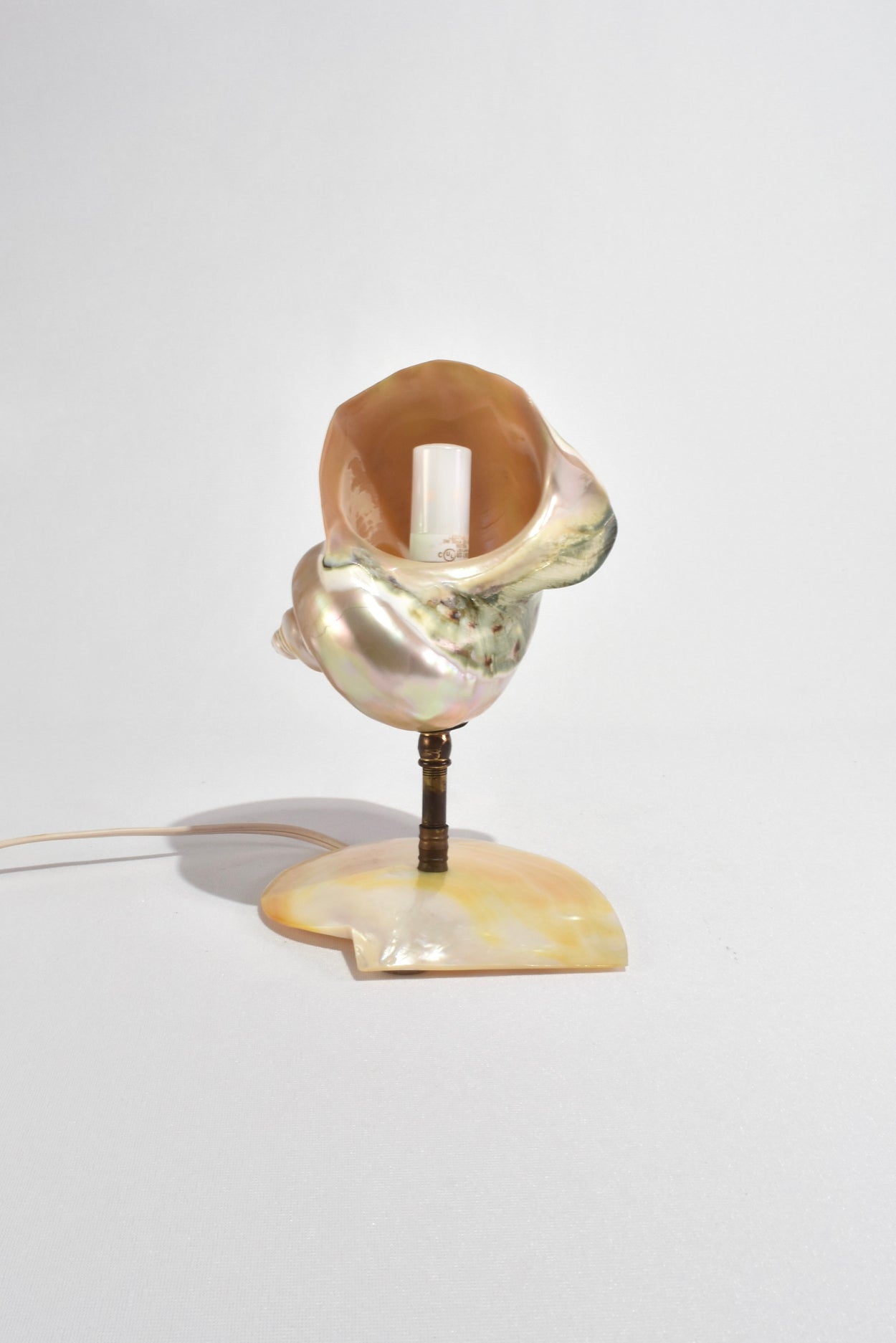 Mother of Pearl Nautilus Shell Lamp