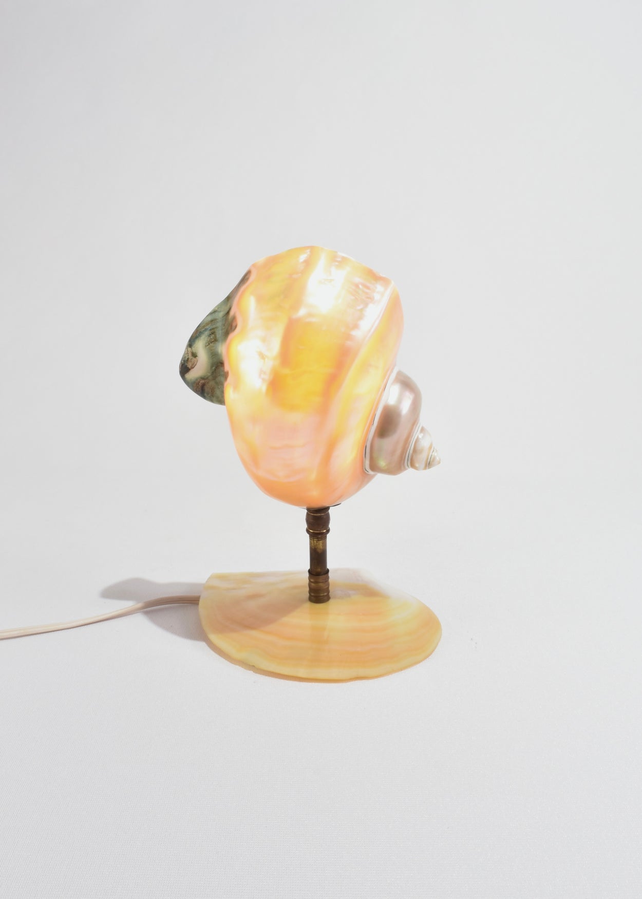 Mother of Pearl Nautilus Shell Lamp