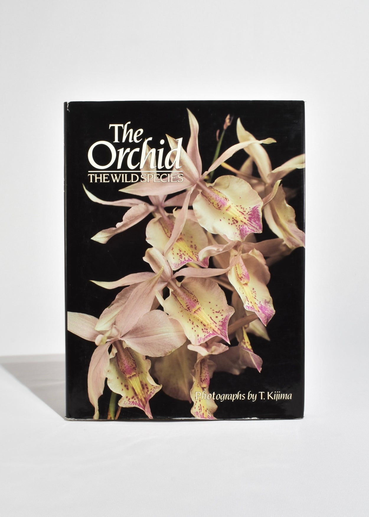 The Orchid