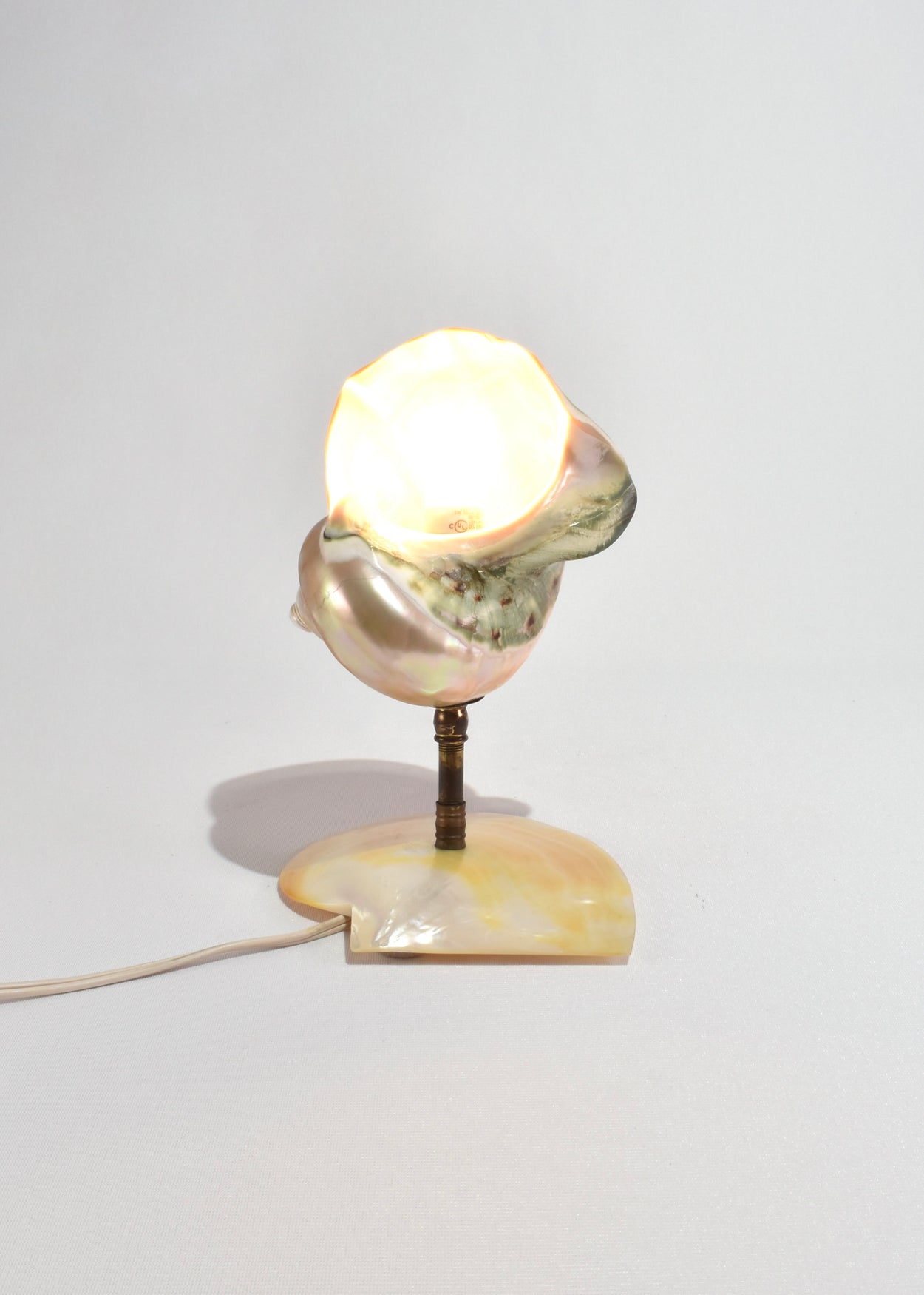 Mother of Pearl Nautilus Shell Lamp