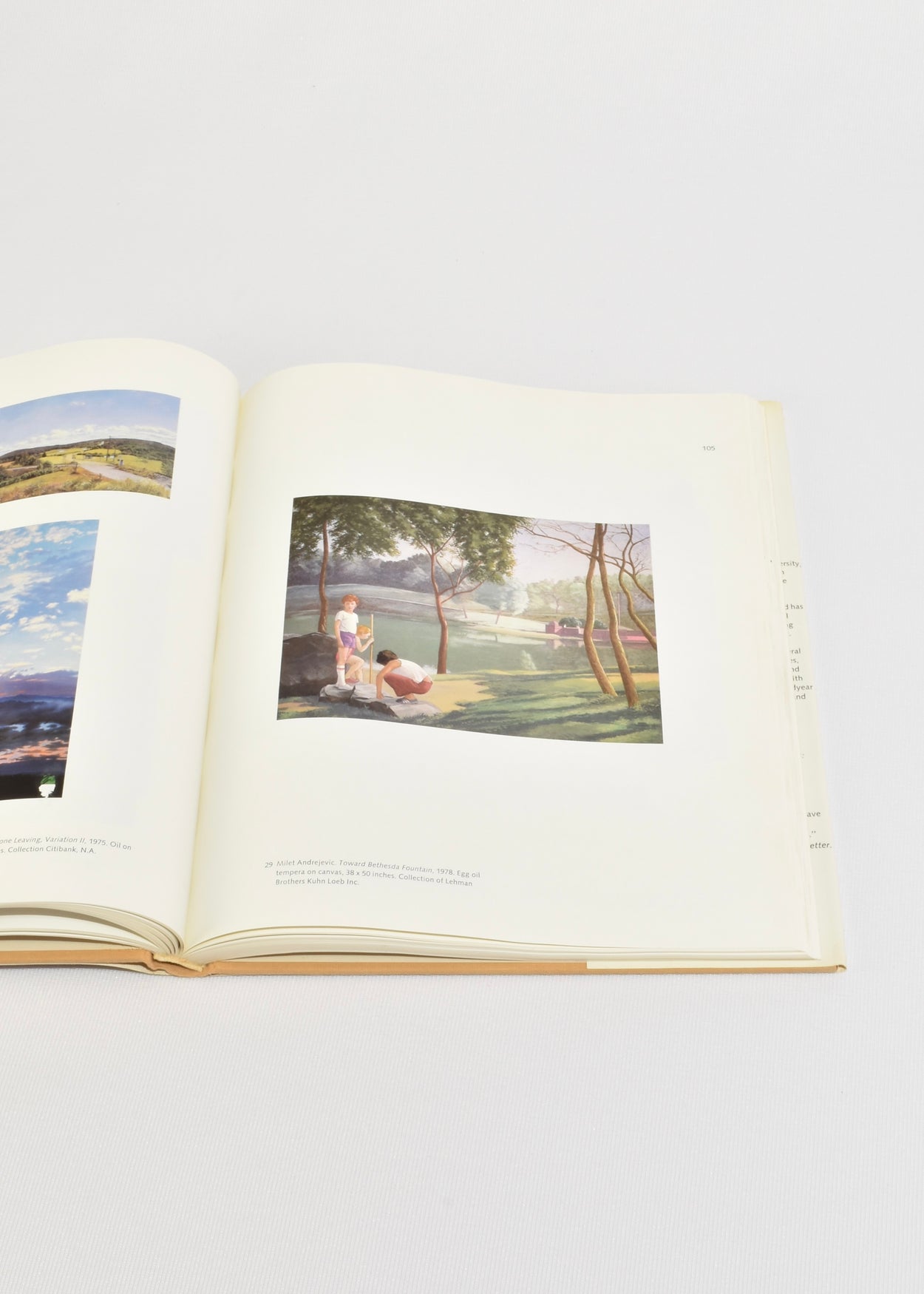 Contemporary American Realism