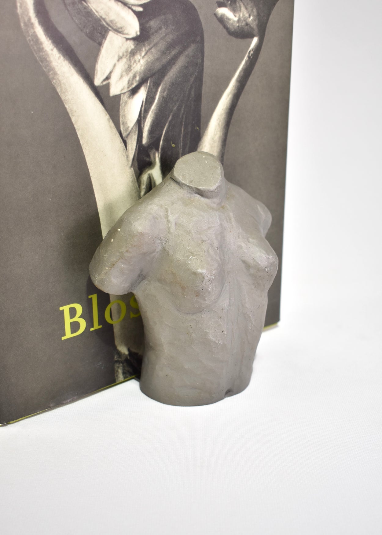 Torso Bookends