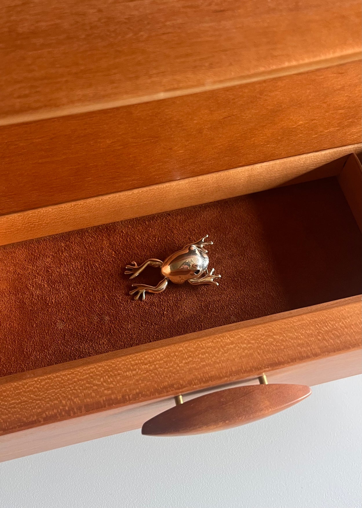 Kinetic Frog Brooch