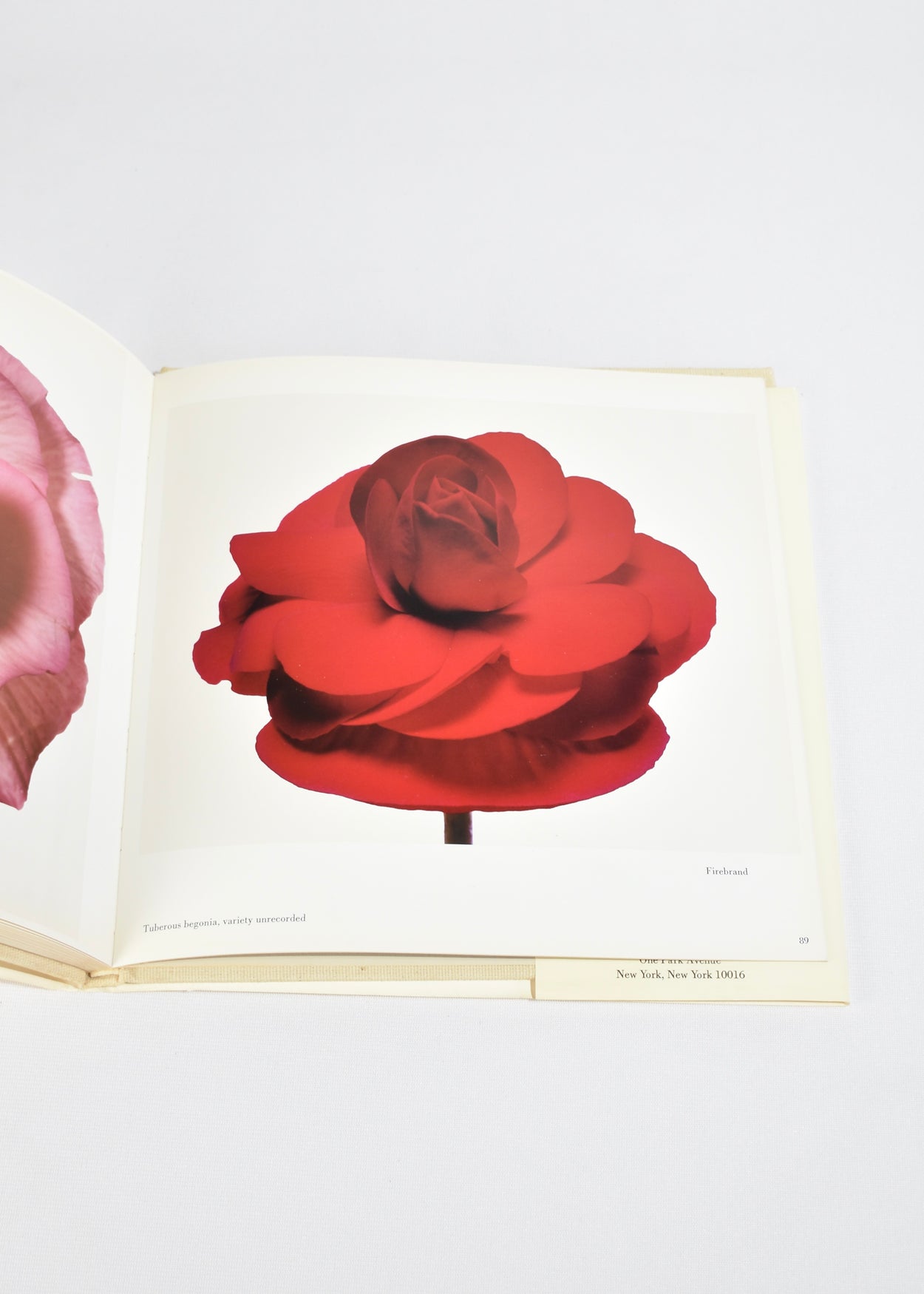 Irving Penn: Flowers