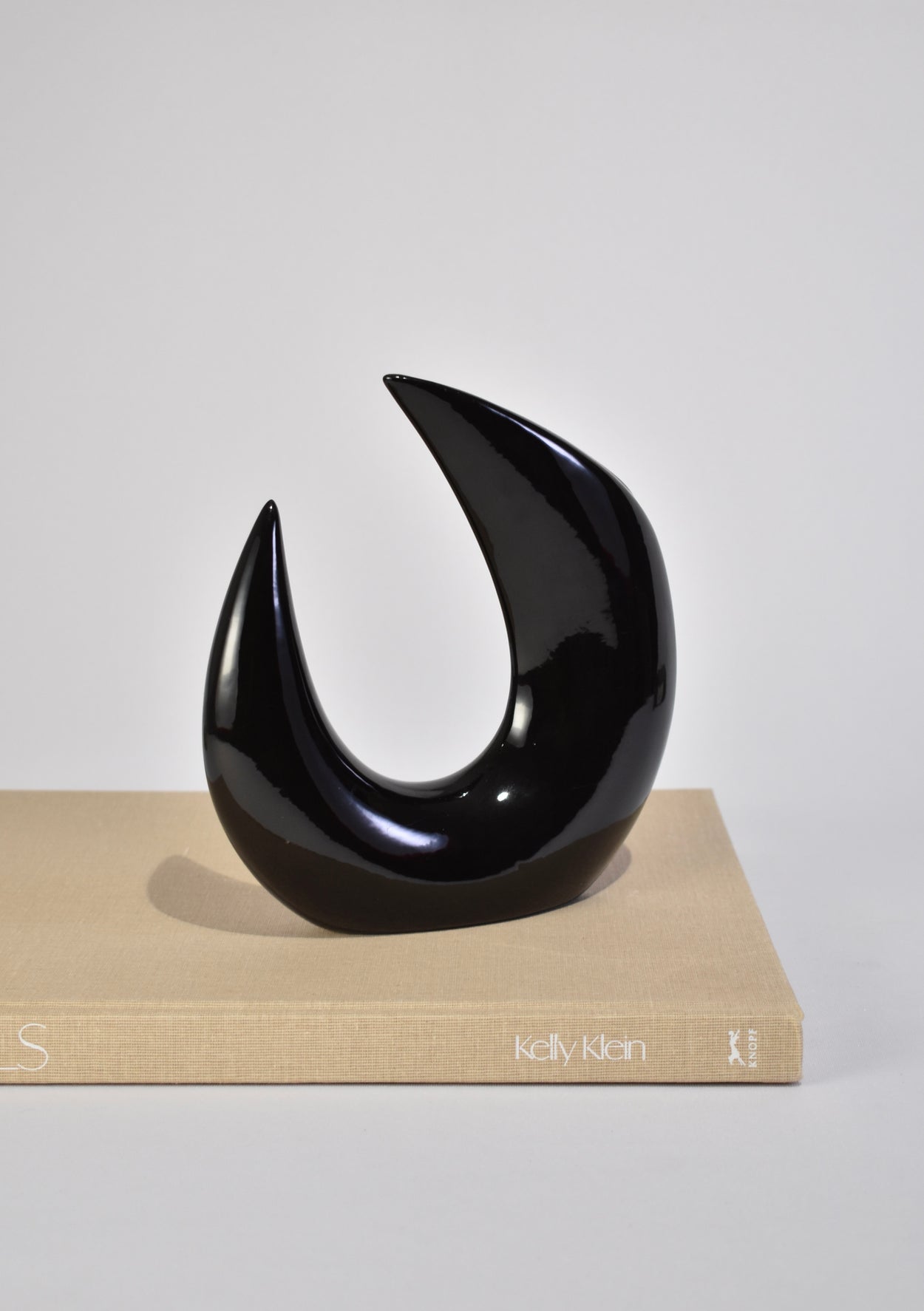 Curved Black Vase